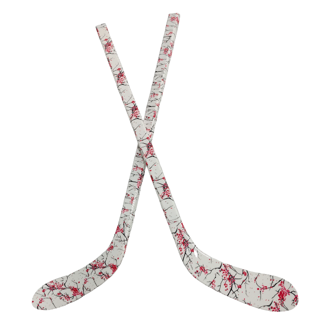 Kids Durable ABS Ice Hockey St - đánh giá và giá Kids Outdoor Hockey Set